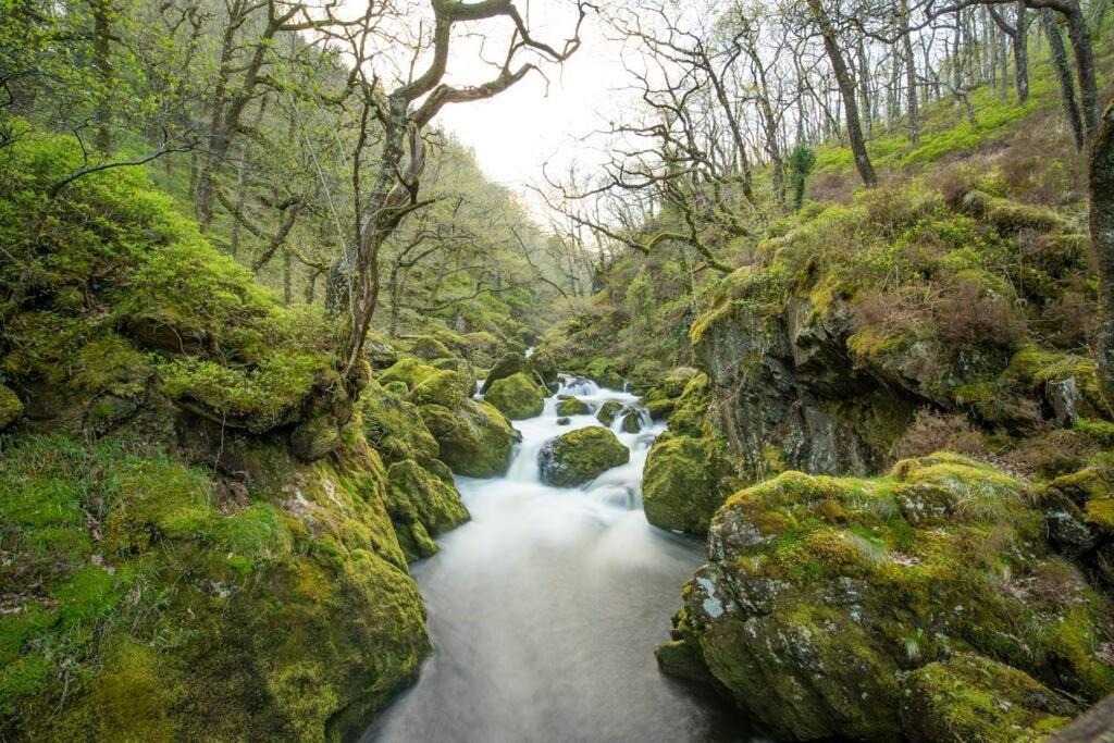 Charming Riverside Cottage In Snowdonia National Park Tanygrisiau Екстериор снимка
