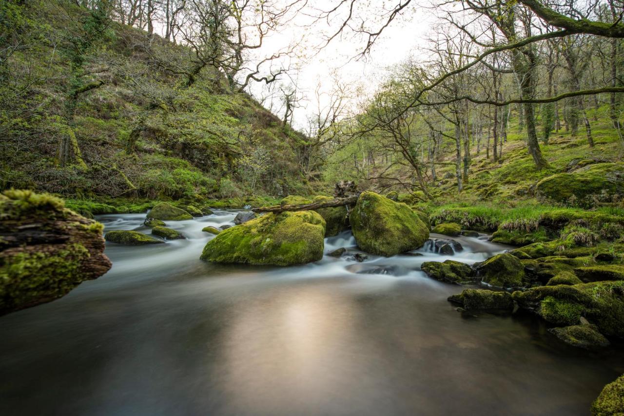 Charming Riverside Cottage In Snowdonia National Park Tanygrisiau Екстериор снимка